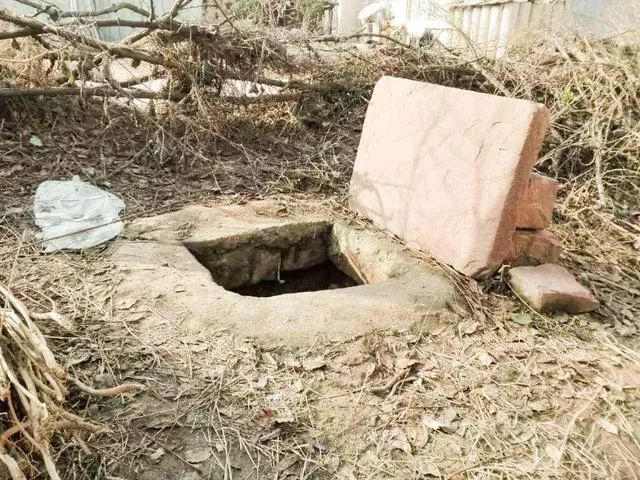 煮富硒地瓜多久熟透能吃（煮能熟透地瓜吃富硒吗）-硒宝网