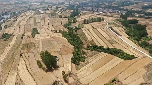 煮富硒地瓜多久熟透能吃（煮能熟透地瓜吃富硒吗）-硒宝网