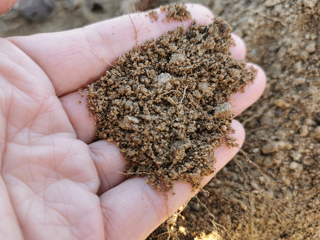 煮富硒地瓜多久熟透能吃（煮能熟透地瓜吃富硒吗）-硒宝网