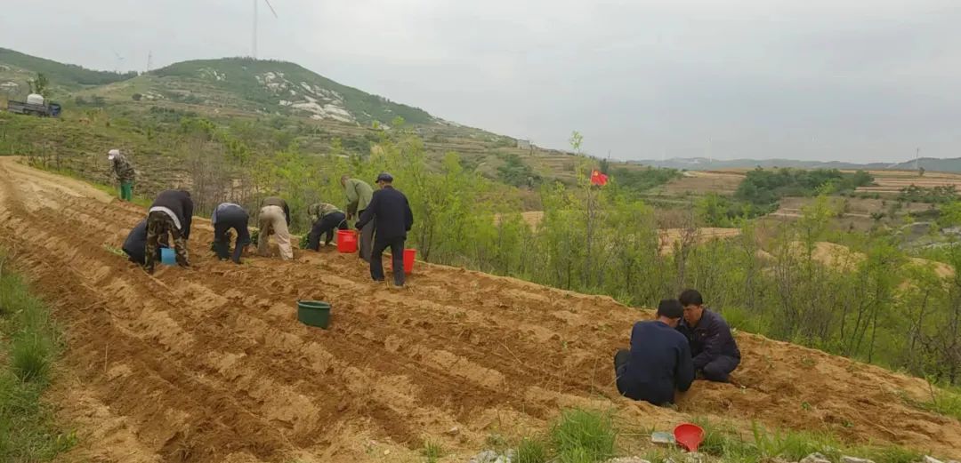 煮富硒地瓜多久熟透能吃（煮能熟透地瓜吃富硒吗）-硒宝网