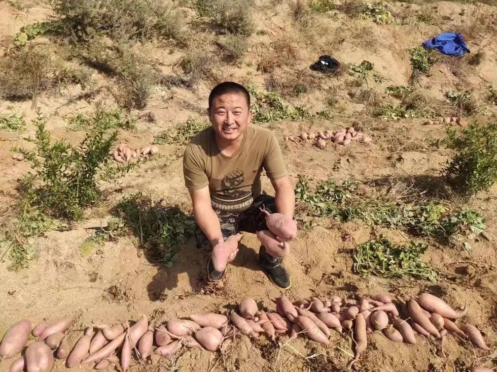 煮富硒地瓜多久熟透能吃（煮能熟透地瓜吃富硒吗）-硒宝网