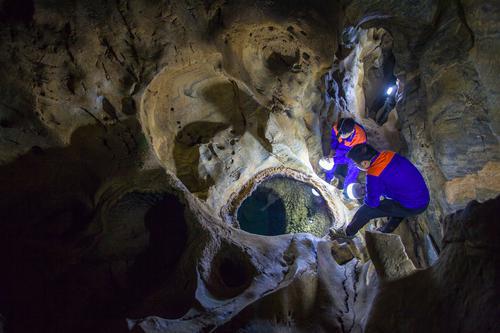 海南澄迈桥头富硒地瓜地(海南桥头富硒地瓜口感)-硒宝网