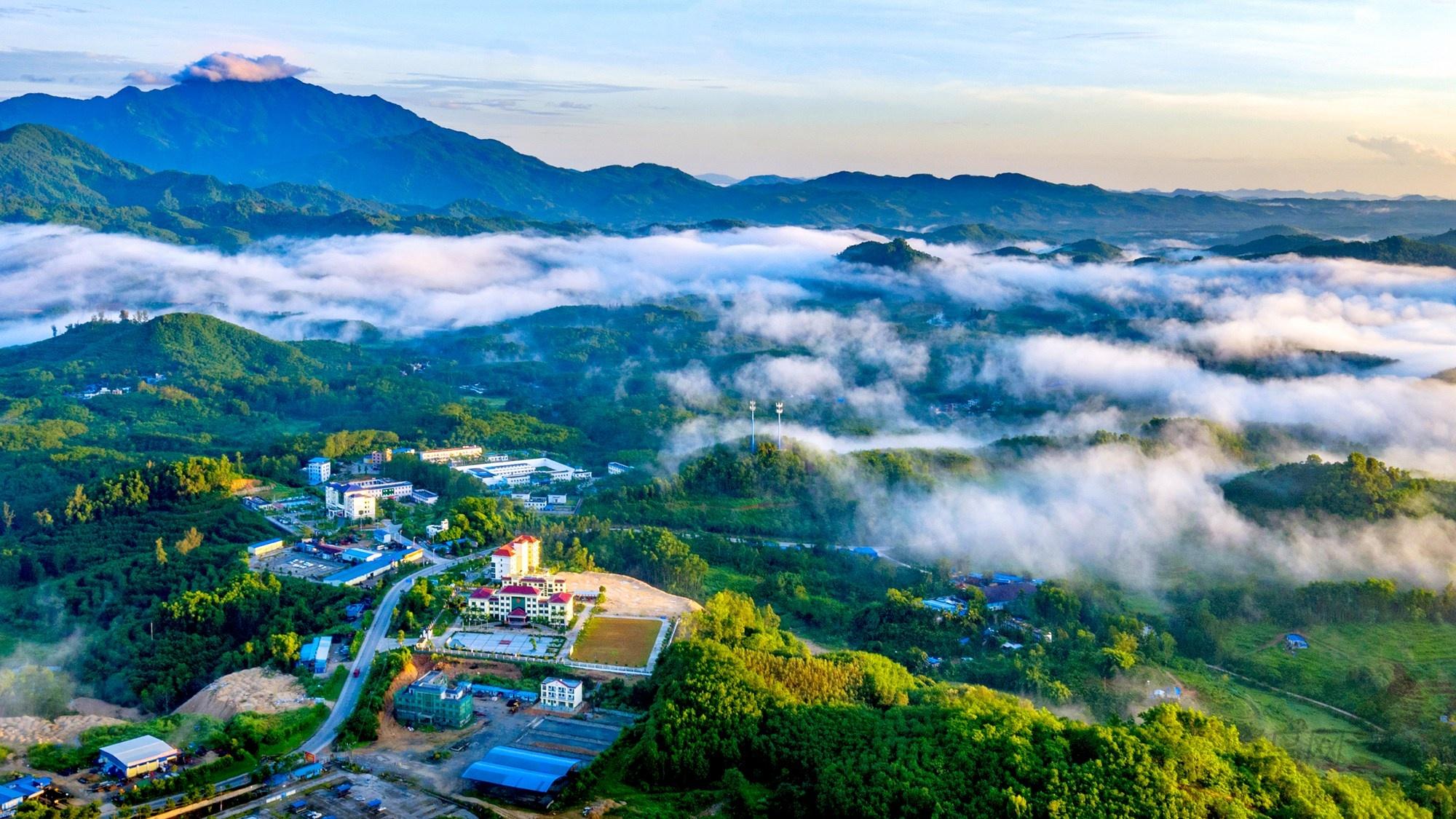 海南富硒地瓜哪里最好种（海南地瓜种富硒好不好吃）-硒宝网
