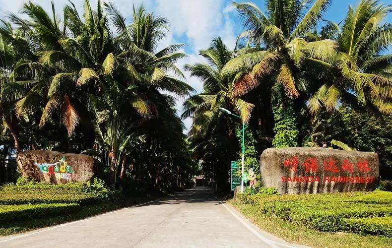 海南富硒地瓜哪里最好种（海南地瓜种富硒好不好吃）-硒宝网