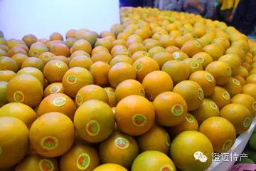 澄迈桥头富硒地瓜推荐店（海南澄迈桥头地瓜销售点）-硒宝网