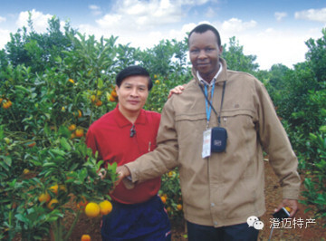 澄迈桥头富硒地瓜推荐店（海南澄迈桥头地瓜销售点）-硒宝网