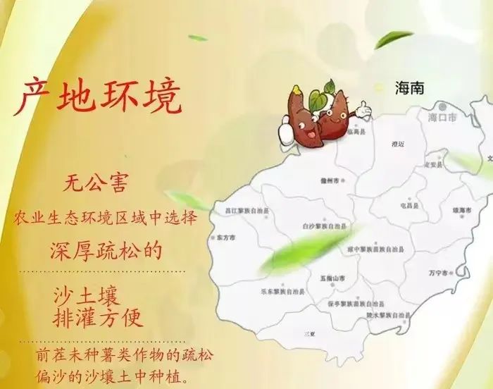 桥头富硒地瓜味道好吃吗(桥头富硒地瓜营养价值)-硒宝网