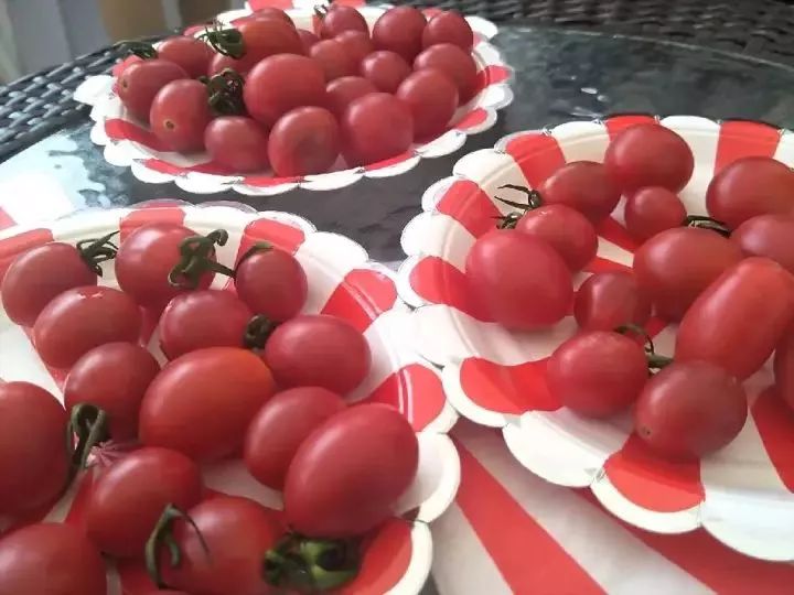 海南富硒地瓜是什么品种(海南地瓜品种富硒是哪种)-硒宝网