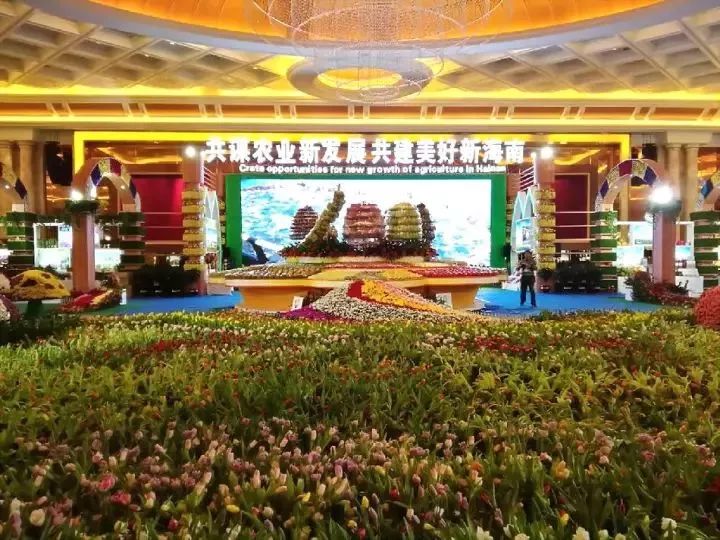 海南富硒地瓜是什么品种(海南地瓜品种富硒是哪种)-硒宝网