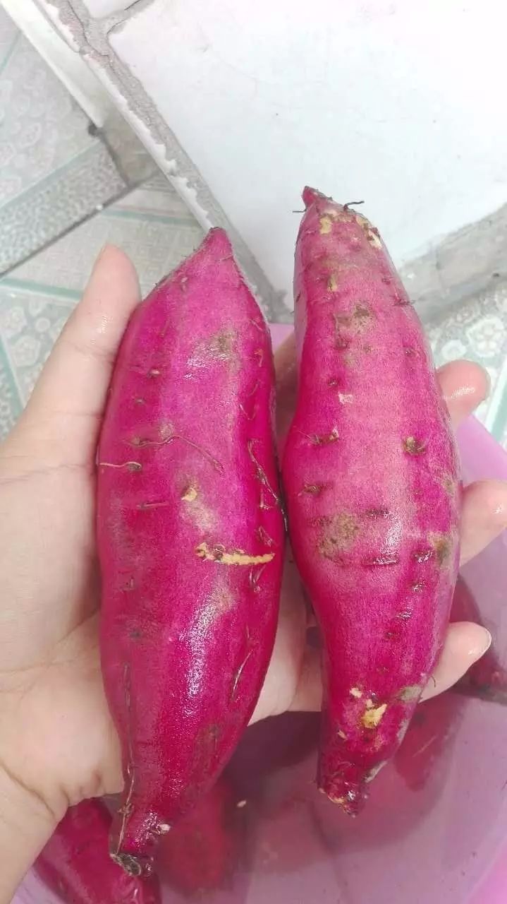 海南桥头富硒地瓜在哪里（海南桥头地瓜富硒基地）-硒宝网