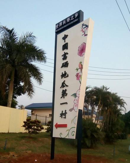 海南桥头富硒地瓜在哪里（海南桥头地瓜富硒基地）-硒宝网