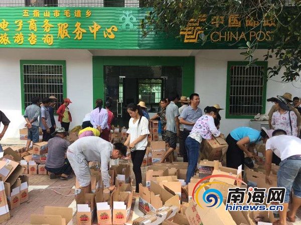 海南富硒地瓜哪里最好卖（海南富硒地瓜是毒地瓜吗）-硒宝网