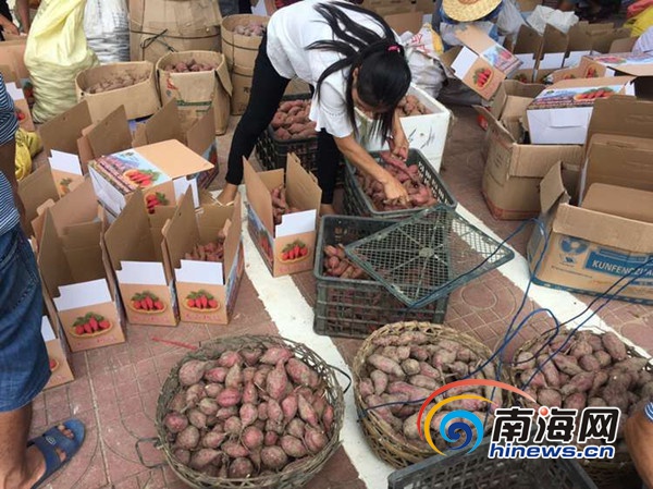 海南富硒地瓜哪里最好卖（海南富硒地瓜是毒地瓜吗）-硒宝网