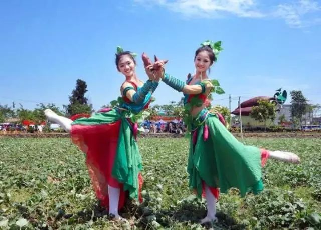 海南桥头富硒地瓜在哪里(海南桥头地瓜真的富含硒吗)-硒宝网