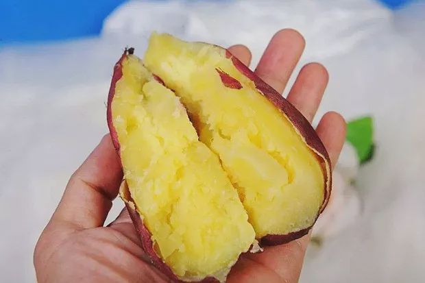 海南富硒地瓜怎么吃美食(海南的富硒地瓜)-硒宝网