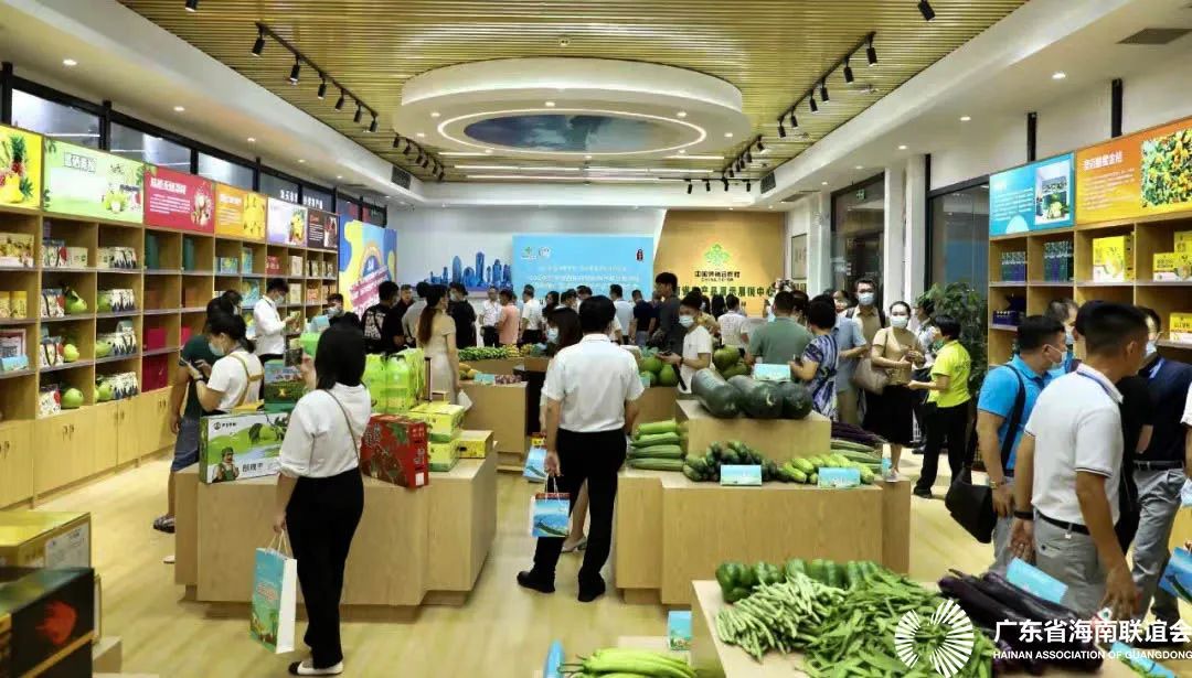 桥头富硒地瓜供应商名单（桥头镇地瓜）-硒宝网