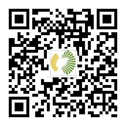 桥头富硒地瓜供应商名单（桥头镇地瓜）-硒宝网