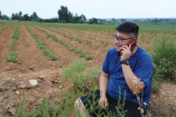 吉林市富硒地瓜种植面积(吉林地瓜多少钱一斤)-硒宝网