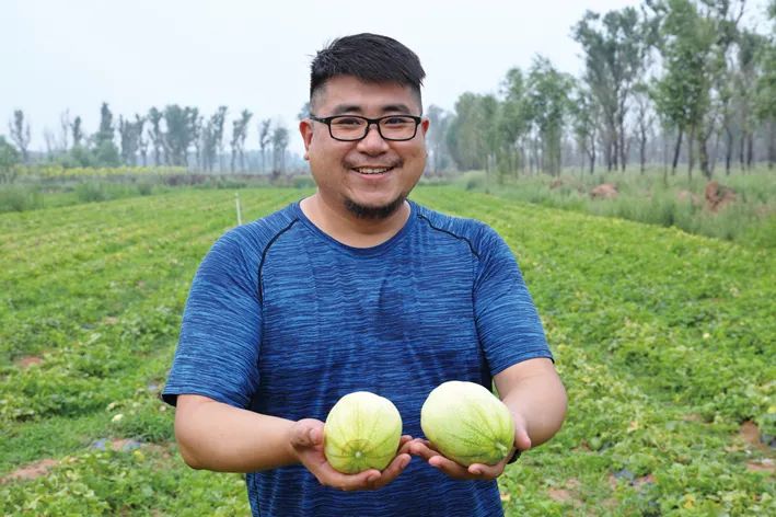 吉林市富硒地瓜种植面积(吉林地瓜多少钱一斤)-硒宝网