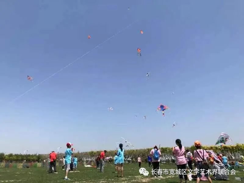 吉林市富硒地瓜种植面积（吉林哪里地瓜好吃）-硒宝网