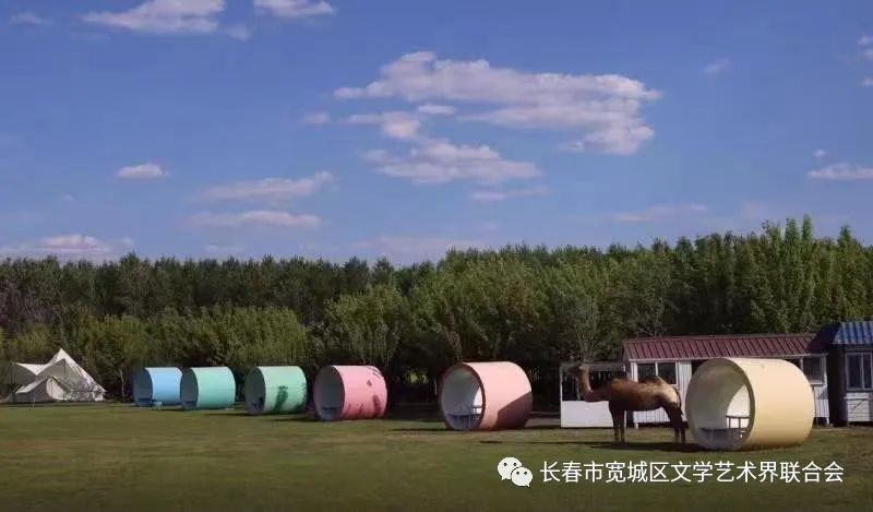 吉林市富硒地瓜种植面积（吉林哪里地瓜好吃）-硒宝网