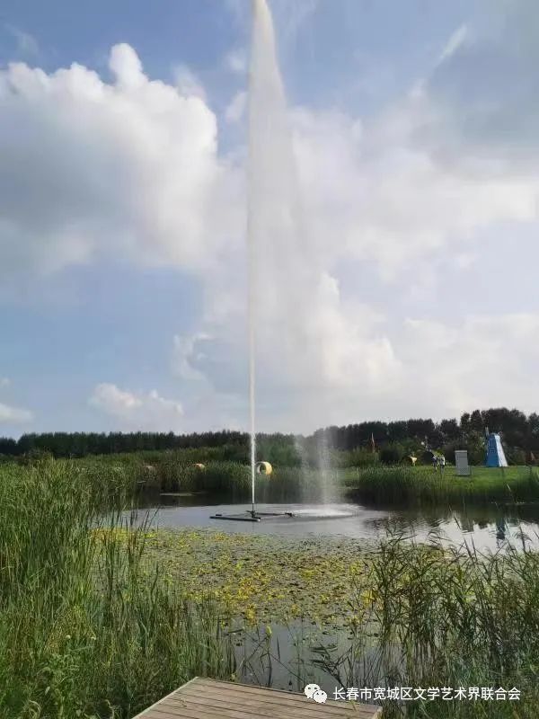 吉林市富硒地瓜种植面积（吉林哪里地瓜好吃）-硒宝网