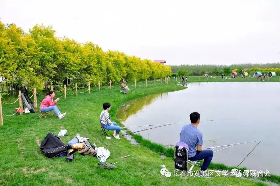 吉林市富硒地瓜种植面积（吉林哪里地瓜好吃）-硒宝网