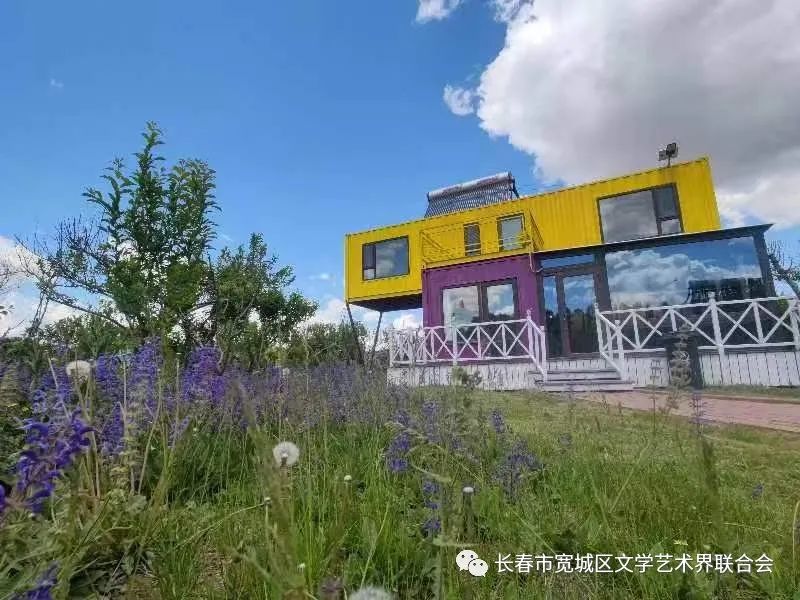 吉林市富硒地瓜种植面积（吉林哪里地瓜好吃）-硒宝网