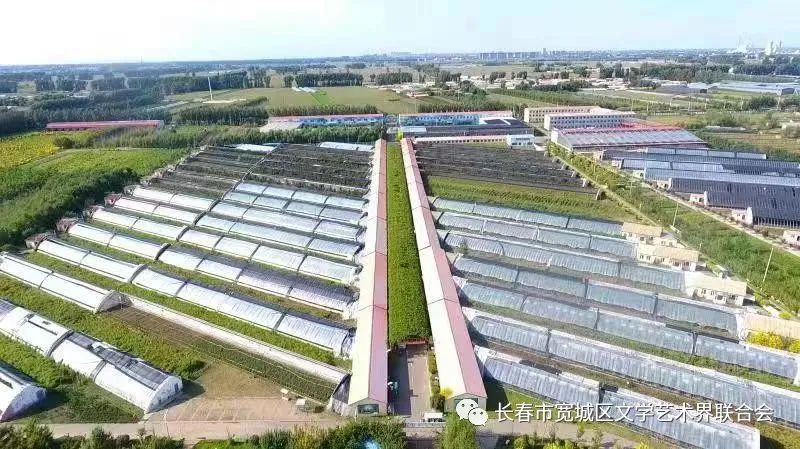 吉林市富硒地瓜种植面积（吉林哪里地瓜好吃）-硒宝网