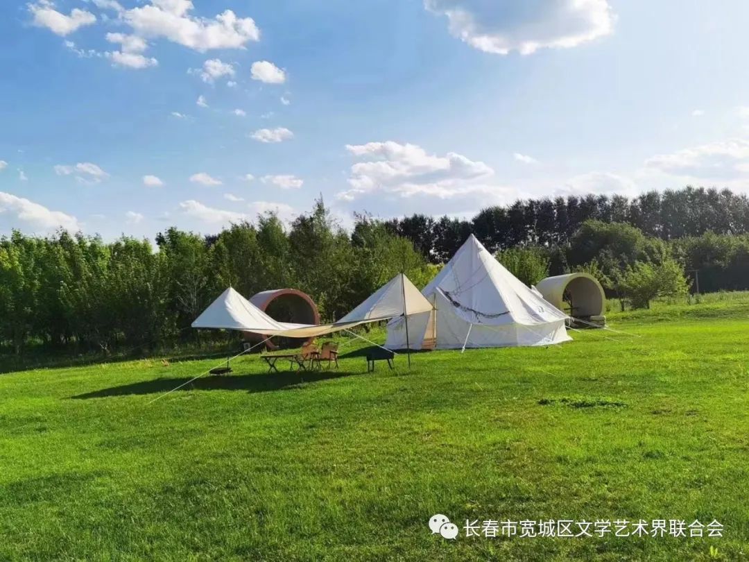 吉林市富硒地瓜种植面积（吉林哪里地瓜好吃）-硒宝网