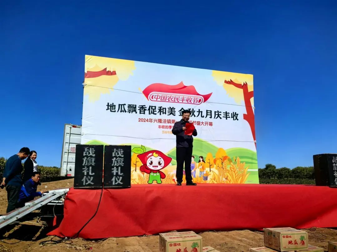 富硒地瓜苗哪里卖的好点(富硒地瓜哪个产地的好)-硒宝网