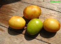 富硒地瓜粉是什么颜色的（地瓜粉的营养成分表）-硒宝网