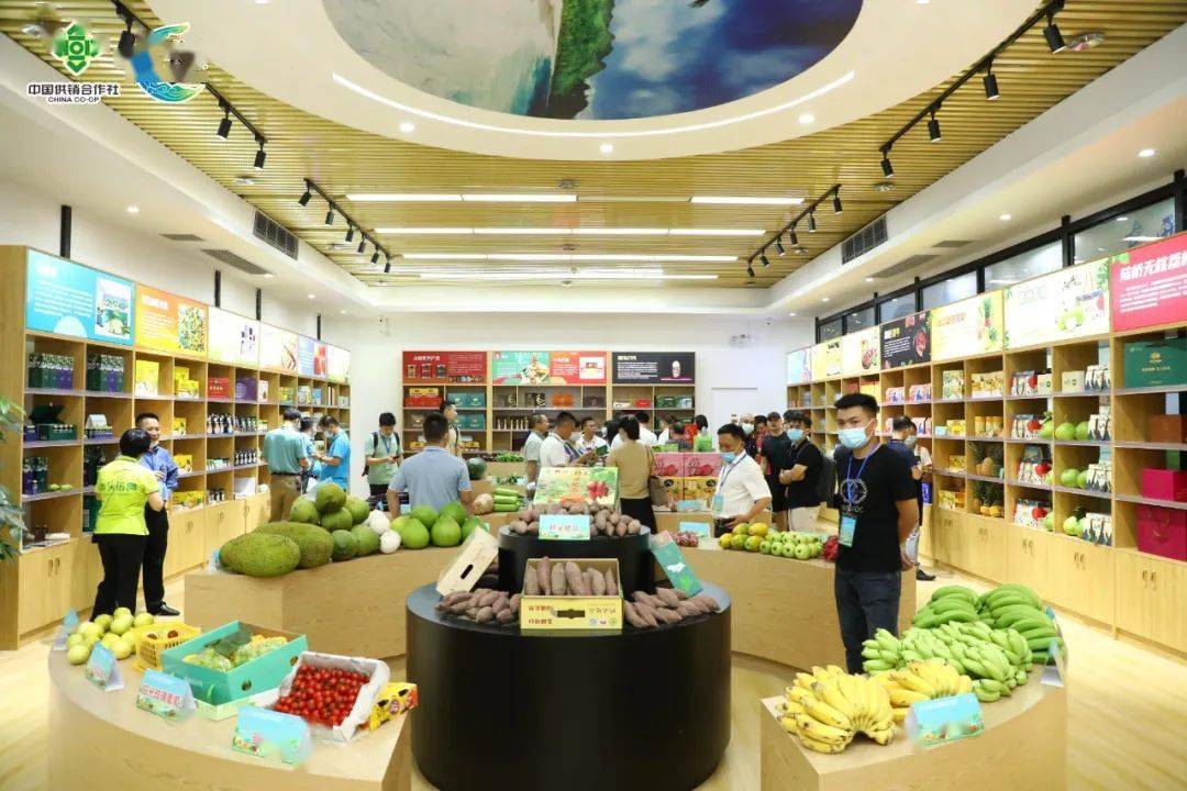 澄迈桥头富硒地瓜怎么样（海南桥头富硒地瓜口感）-硒宝网