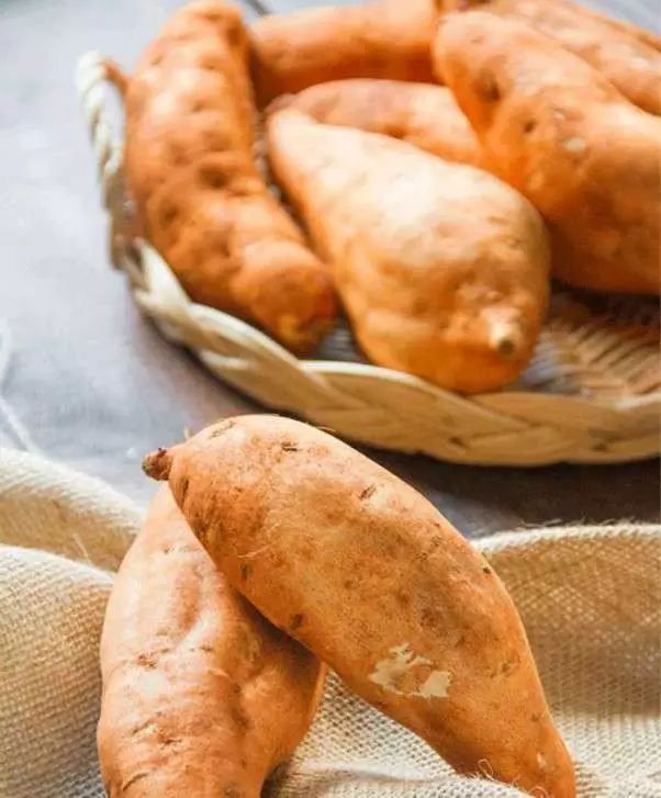 富硒地瓜和烟薯哪个好吃（烟薯地瓜的功效与作用）-硒宝网