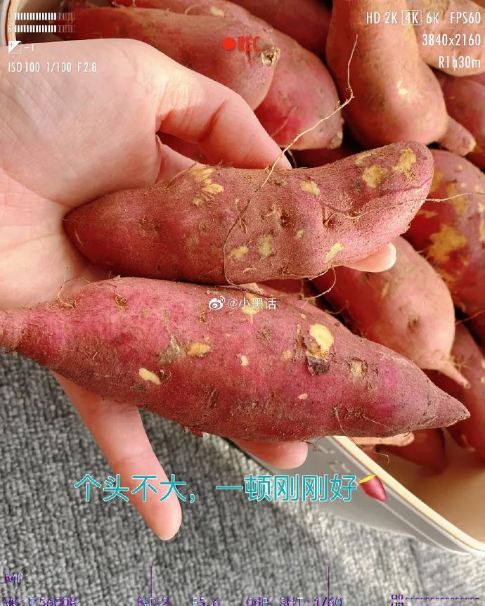 什么时候吃富硒地瓜好吃(富硒地瓜的好处)-硒宝网