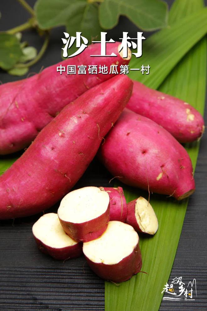 莱州富硒地瓜种植时间表(富硒地瓜苗哪里有卖)-硒宝网