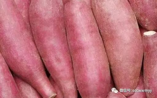 富硒地瓜有毒吗可以吃吗（富硒地瓜有毒吗）-硒宝网
