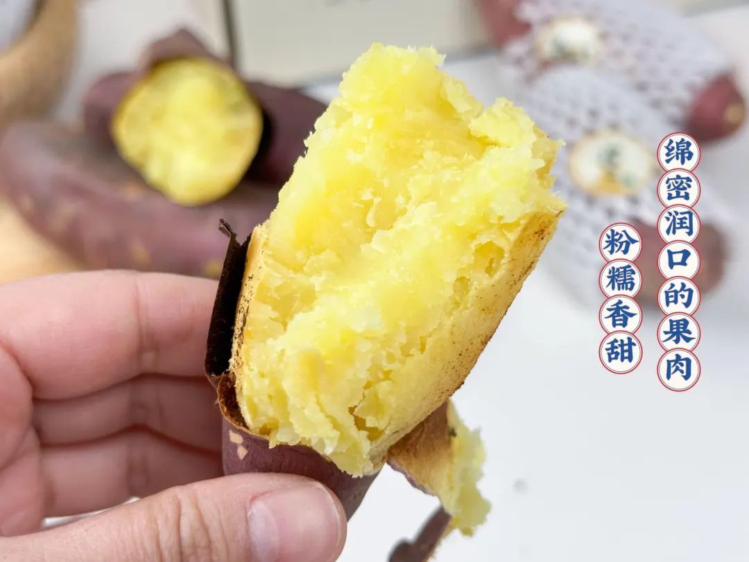 烤出油的富硒地瓜叫什么(富硒地瓜是转基因的吗)-硒宝网