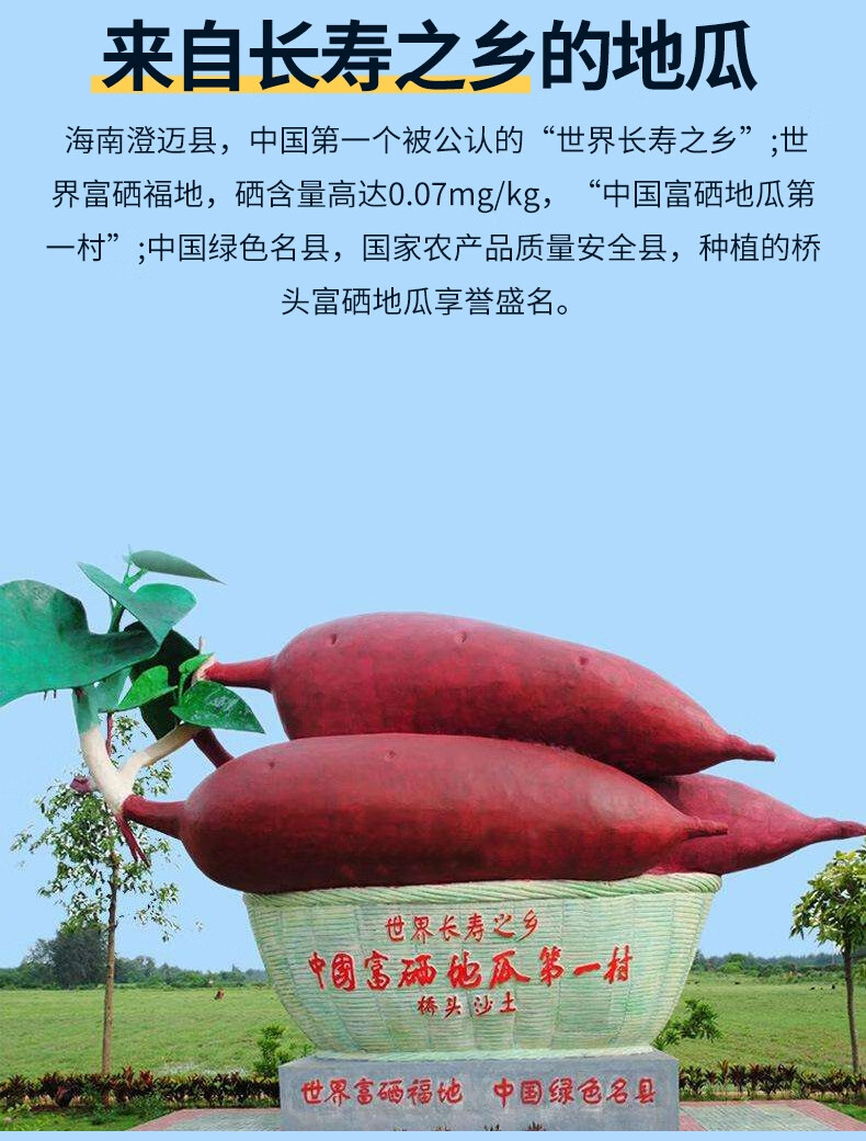 什么时候吃富硒地瓜最好（地瓜吃富硒时候好吃吗）-硒宝网