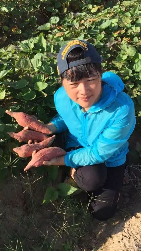 什么时候吃富硒地瓜最好（地瓜吃富硒时候好吃吗）-硒宝网