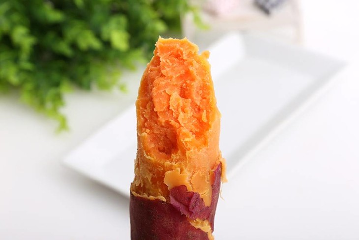 富硒地瓜好不好种植视频(富硒地瓜怎么种植)-硒宝网