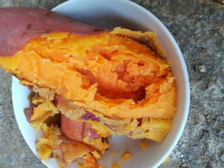 富硒地瓜好不好种植视频(富硒地瓜怎么种植)-硒宝网