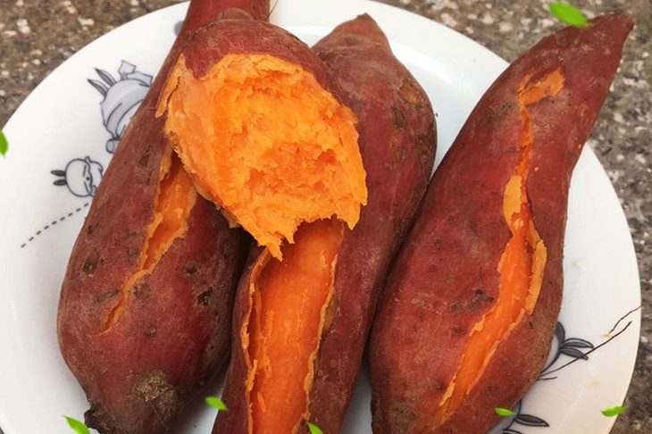 富硒地瓜好不好种植视频(富硒地瓜怎么种植)-硒宝网