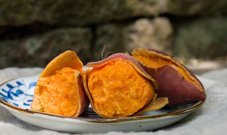 富硒地瓜好不好种植视频(富硒地瓜怎么种植)-硒宝网