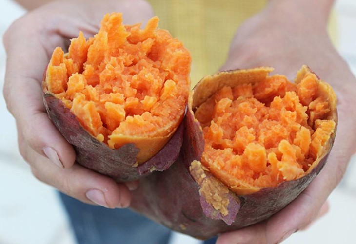 富硒地瓜好不好种植视频(富硒地瓜怎么种植)-硒宝网