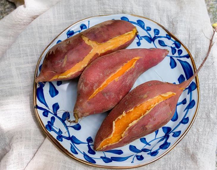 富硒地瓜好不好种植视频(富硒地瓜怎么种植)-硒宝网