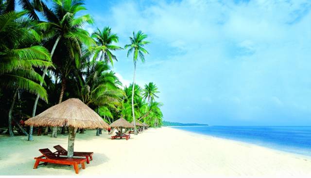 海南富硒地瓜的营养价值（海南富硒地瓜是毒地瓜吗）-硒宝网