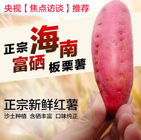 海南富硒地瓜的营养价值（海南富硒地瓜是毒地瓜吗）-硒宝网