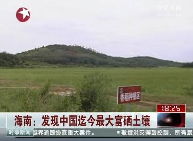 海南富硒地瓜的营养价值（海南富硒地瓜是毒地瓜吗）-硒宝网