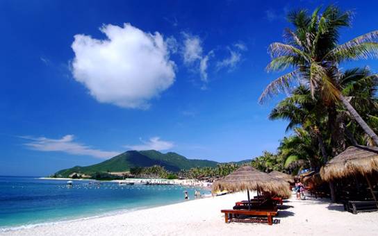 海南富硒地瓜的营养价值（海南富硒地瓜是毒地瓜吗）-硒宝网